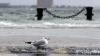 Boston flood protection draft plan will outline $10.5b in coastal projects