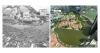 Turning the tide: Singapore’s water journey and a new era of global collaboration