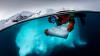 Hot Deals: Antarctica expeditions, Chile escapes, Gold Coast holidays, Melbourne and Marlborough