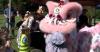 Oregon Asian Celebration draws big crowds to Alton Baker Park