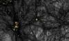 Dark matter could resonate through a hidden FIFTH dimension, scientists claim