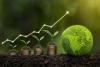 Green on Paper: Why Ghana's Corporate Environmental Responsi...