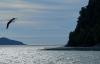 Rabobank predicts Chile may soon become salmon farming’s principal growth driver