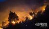 Morocco wildfires burn 628 hectares as crews contain major blazes