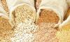 Kunene-Cuvelai farmers to reap seed bank benefits