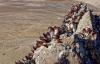 South Africa indefinitely extends ban on Saldanha Bay shellfish harvesting; farms remain closed