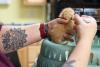 Gov. Ayotte vetoes foster care bill due to problematic livestock language