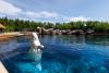 Six whales being moved out of Marineland, headed to U.S. aquariums
