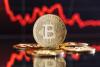 Bitcoin sees divergence in investor behavior, with larger whales accumulating while mid-sized holders sell. Despite weakening spot demand, Bitcoin's price has remained relatively stable.