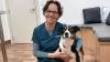 On The Up: Hastings rehab vet uses acupuncture therapy to heal pets