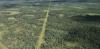 Industrial development is fragmenting Canada’s boreal forest. Governments should think carefully about future approvals