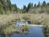 A serene adventure at Lake Sawyer | Hiking the Northwest