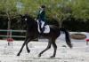 Weekend sport round up focuses on rowing, horse riding & looks ahead to Commonwealth Games