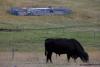 Enbridge starts construction on B.C. pipeline expansion for natural gas