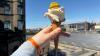 'I went to Edinburgh's buzzy new ice cream shop where I paid £10 for a cone'