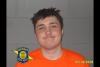 Illinois man arraigned on home invasion and weapons charges after UP search