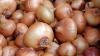 Morocco resumes onion exports to Africa, as tomato, potato restrictions remain