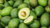 Global avocado market faces volatility as El Niño threatens yields, trade expands