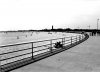 Jacob Riis, NYC’s “People’s Beach,” Is Under Threat