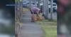 Hawaii animal cruelty caught on viral video sparks outrage