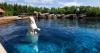 Six whales being moved out of Marineland, headed to U.S.