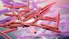 How many leprosy cases have been reported in Volusia County?