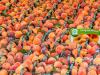 Farmgate: It's time for Ontario- and Canadian-grown seasonal fruits and vegetables