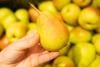 Lower harvest shaped the Argentine pear export season, but US market remained stable