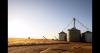 Agricultural dust risks go beyond allergies
