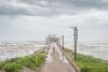 NHC Issues Surge Watches From Florida to Louisiana as Bertha Forms Today