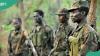 Top 10 strongest militaries in Africa per the 2026 Global Firepower Index