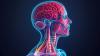 <![CDATA[Acupuncture Combo Improves Quality of Life in Head and Neck Cancer]]>