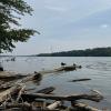 Attempt to save struggling swimmer leaves five dead in Ohio river