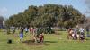 Texas A&M Forest Service awards Community Forestry Grants to support urban forests across Texas