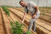 Dairy proteins from plants: Scientists unlock seed biotechnology for cow-free...