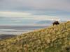 Utah’s Plans to Preserve More Land on the South Side of the Great Salt Lake 