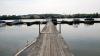 Attempt to save a struggling swimmer leaves 5 dead in a river in Ohio, sheriff says