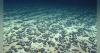 Marine Minerals Administration advances first proposed offshore critical minerals lease sale
