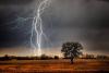 Lightning strike kills six children on farm in Adamawa