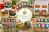 Caribbean agri-firms want buyers and freight—not more workshops