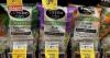 FDA says to still avoid Taylor Farms lettuce after ‘false positive.’ Here’s why