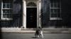 'Politicians come and go': Larry the Downing St cat welcomes 7th PM