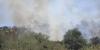FEMA approves $195K for Shake Fire in eastern Arizona