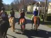 Where Kids Can Paint Ponies and Meet Mini Donkeys: Cozy Quarters Farm Brings Family Fun to Delaware City