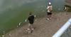 Minnesota DNR logs 202 fish kill reports amid extended heat wave