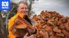 Firewood side hustle sparks multi-million-dollar business in four states