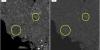 NASA finds clues to early solar system and life’s origins in pristine 2024 meteorite discovered in New Jersey