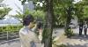 Japan tests AI systems to identify trees at risk of collapse