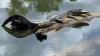 Arkansas alligator hunting season applications available