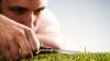 Biocurious: In its quest for the “perfect” kidney drug candidate, Dimerix won’t let the grass grow under its feet 